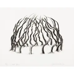 ASH DOME (FROM 'WHY DRAW LANDSCAPE' PORTFOLIO), 1998 by David Nash, 1998, sold Apr 2024
