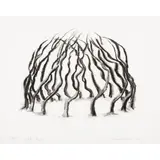 David Nash, ASH DOME (FROM 'WHY DRAW LANDSCAPE' PORTFOLIO), 1998, 1998