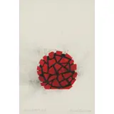 David Nash, RED AND BLACK CIRCLE, 2009, 2009