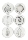 SET OF SIX 'SEZIONE DI FRUTTA' PLATES by Piero Fornasetti, porcelain (6), sold Apr 2024
