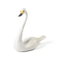 SWAN by Guy Taplin, offered Apr 2024