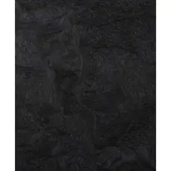 Mark Alexander, THE BLACKER GACHET X, 2005, 2005