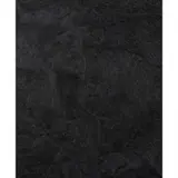 Mark Alexander, THE BLACKER GACHET X, 2005, 2005