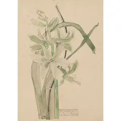 Charles Rennie Mackintosh, ‘GRASS HYACINTHE’, 1915, 1915