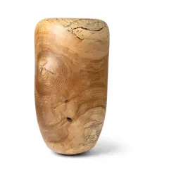 Anthony Bryant, Tall Vessel, 2022, 2022, ash