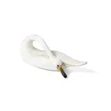 Guy Taplin, Swan with Head Tucked