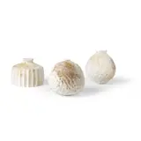 Akiko Hirai, Pair of Poppy Vessels, stoneware