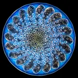ROSCOFF BOWL, NO. 10-383 by René Lalique, sold Apr 2023
