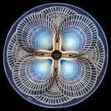 TWO COQUILLES NO. 1 PLATES, NO. 3009 by René Lalique, sold Apr 2023