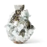 Akiko Hirai, Sake Bottle