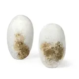 Akiko Hirai, Two 'Cocoon' Vessels