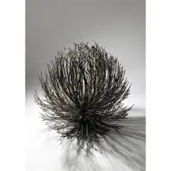 Junko Mori, Blossom Heart, 2005, 2005, wax-coated forged mild steel