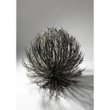 Junko Mori, Blossom Heart, 2005, 2005, wax-coated forged mild steel