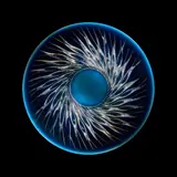 ALGUES BOWL, No. 10-389 by René Lalique, sold Oct 2022