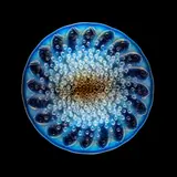 ROSCOFF SHALLOW BOWL, NO. 10-383 by René Lalique, sold Oct 2022