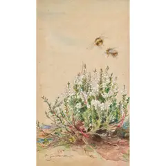 Katherine Cameron, FLOWER OF THE HEATHER