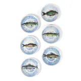 Set of Six 'Piscibus' Trompe L'Oeil Plates by Piero Fornasetti, transfer printed earthenware with fish over blue and white ground, sold Apr 2021