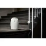 Edmund de Waal, Jar and Cover