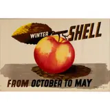 Edward McKnight Kauffer, Winter Shell (Apple)
