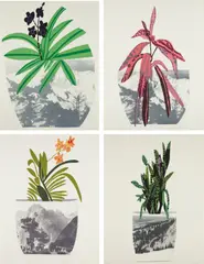 Jonas Wood, Untitled, 2014, The complete set of four lithographs and screenprint in colors, on Coventry Rag paper, with full margins