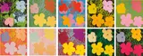 Andy Warhol, Flowers, 1970, Screenprint in colours, on wove paper, the full sheet,