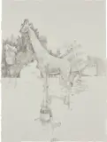 Kelly McLane, American Idle (Awesome Spots), 2007, Graphite on wove paper