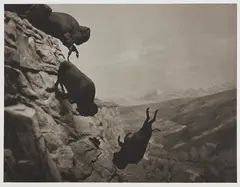 Untitled (Buffaloes) by David Wojnarowicz, 1988/1994, Platinum print on rag paper, with the original wove paper folio, lacking the original artist's text sheet, sold Oct 2018