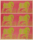 Bruce Nauman, Untitled