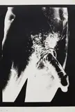 Andy Warhol, Torso, 1977, Unique screenprint, on Lenox Museum board, the full sheet