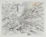 Julie Mehretu, The Residual