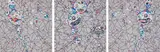 We are Destined to Meet Someday! But for Now, We Wander in Different Dimensions; Chaos: Primordial Life; DOB: Myxomycete by Takashi Murakami, 2016-17, Three offset lithographs in colors, on wove papers, the full sheets, sold Oct 2018