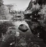Lee Friedlander, Yosemite, National Park, California