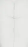 Harry Callahan, Untitled, Eleanor