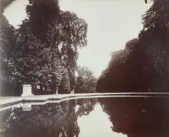 Eugène Atget, Saint-Cloud, 1919-1921, Albumen print