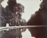 Eugène Atget, Saint-Cloud, 1919-1921, Albumen print