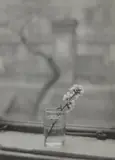 Josef Sudek, From the Window of My Studio
