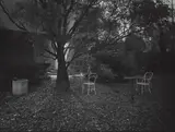 Josef Sudek, A Walk in the Magic Garden, 1955, Gelatin silver print