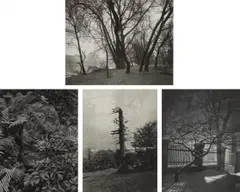 Selected Images by Josef Sudek, 1950s, Four gelatin silver prints, sold Apr 2018