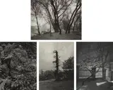 Josef Sudek, Selected Images
