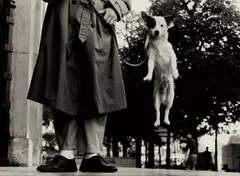 Paris by Elliott Erwitt, 1989, Gelatin silver print, printed later, sold Apr 2018