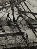 André Kertész, Washington Square Park, November 30