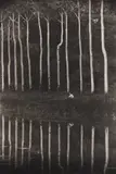 Man Fishing from Bank of Seine by Irving Penn, 1950, Platinum palladium print, printed 1979, sold Apr 2018