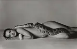 Richard Avedon, Nastassja Kinski and the Serpent, Los Angeles, California, June 14