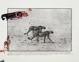 Peter Beard, Two Cheetahs hunting for the End of the Game/Last Word from Paradise