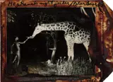 Peter Beard, Maureen Gallagher and a Late Night Feeder, Hog Ranch