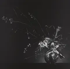 Flower Arrangement by Robert Mapplethorpe, 1982, Gelatin silver print, sold Apr 2018