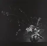 Flower Arrangement by Robert Mapplethorpe, 1982, Gelatin silver print, sold Apr 2018