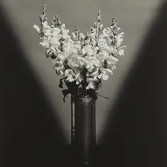 Snapdragons by Robert Mapplethorpe, 1979, Gelatin silver print, printed 2011, offered Apr 2018