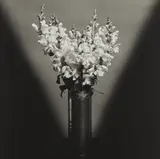 Snapdragons by Robert Mapplethorpe, 1979, Gelatin silver print, printed 2011, offered Apr 2018