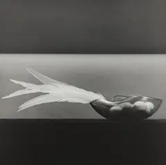 Feathers and Eggs by Robert Mapplethorpe, 1985, Gelatin silver print, sold Apr 2018